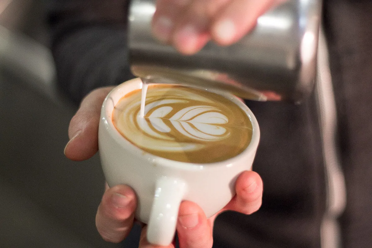 Bongo Java coffee in Nashville