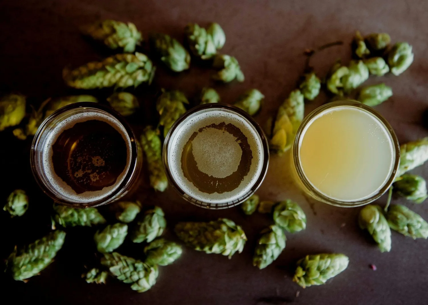 Which Nashville brewery tour loop is right for you
