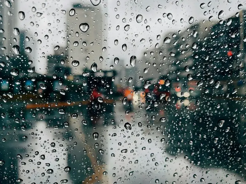 Things to do inside in Nashville on a rainy day